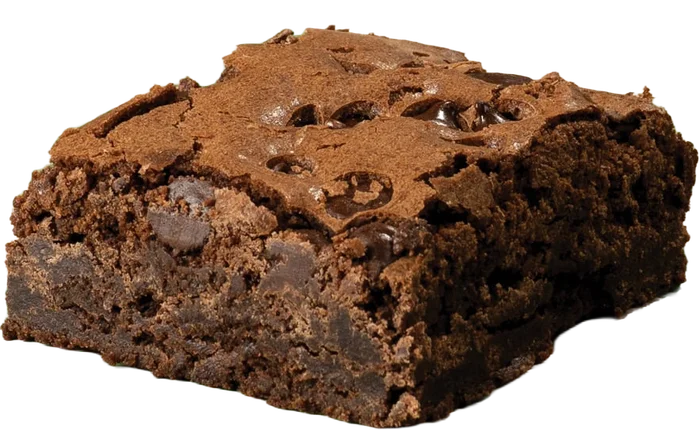 Brownie dessert with pure melted chocolate and chocolate chips.