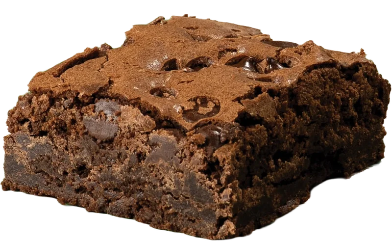 Brownie dessert with pure melted chocolate and chocolate chips.