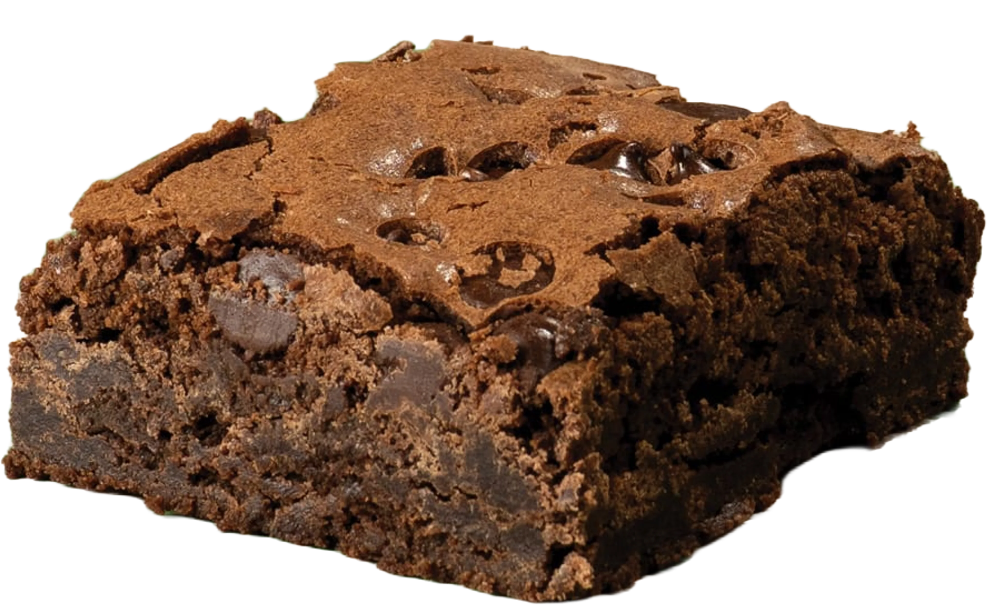 Brownie dessert with pure melted chocolate and chocolate chips.