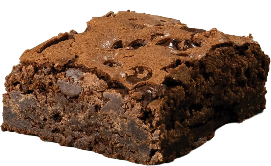 Brownie dessert with pure melted chocolate and chocolate chips.
